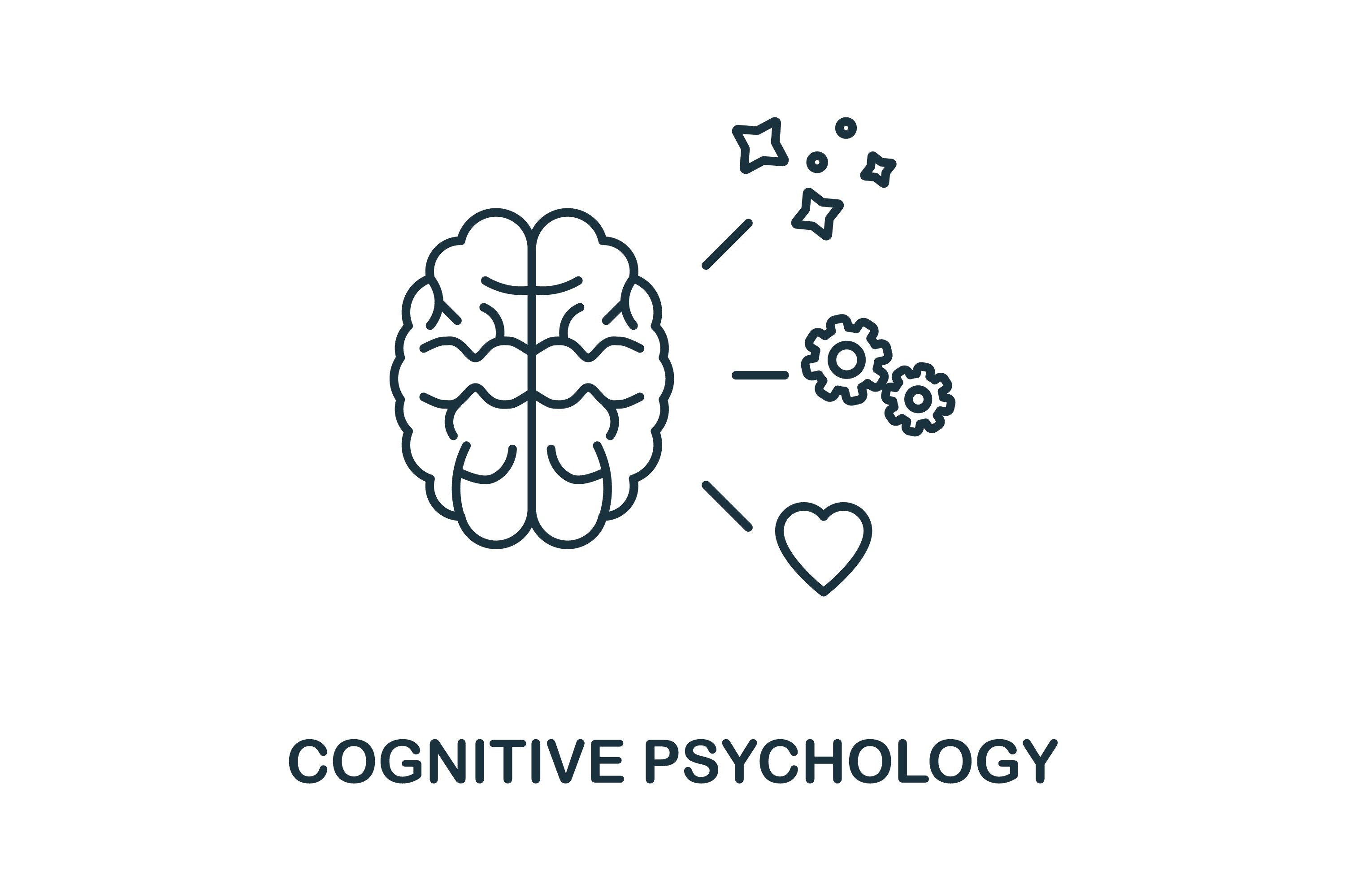 Psyc 378 01 wieth fall 2024 